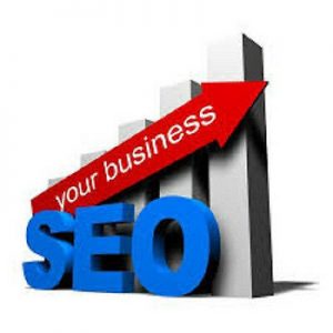 150,000 Real Visitors and  SEO Submit Website Web Advertising
